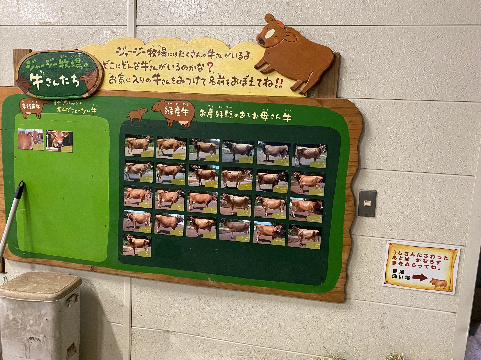 お産経験のあるお母さん牛🐮 (@ モクモクファームジャージー牧場 in 伊賀市, 三重県) お産経験のあるお母さん牛🐮 (@ モクモクファームジャージー牧場 in 伊賀市, 三重県)