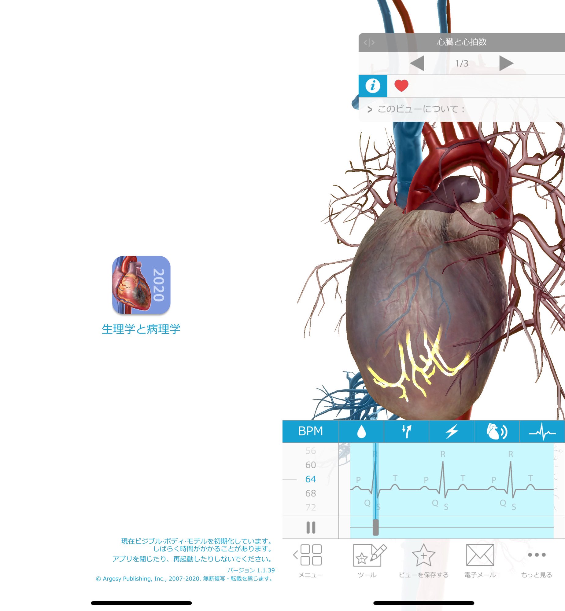 生理学と病理学 P&P 生理学と病理学 P&P