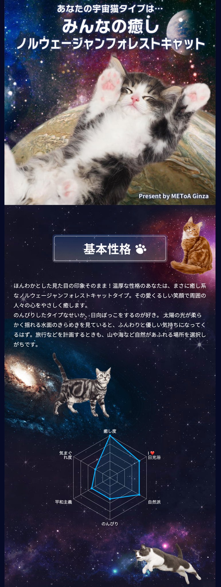 (=゚ω゚)ノニャーン♪ あなたの宇宙猫タイプはどれかニャ!宇宙猫診断 #猫 #ねこ #宇宙 #宇宙猫 #宇宙猫診断 #metoaginza #みんなの癒しノルウェージャンフォレストキャット (=゚ω゚)ノニャーン♪ あなたの宇宙猫タイプはどれかニャ!宇宙猫診断 #猫 #ねこ #宇宙 #宇宙猫 #宇宙猫診断 #metoaginza #みんなの癒しノルウェージャンフォレストキャット