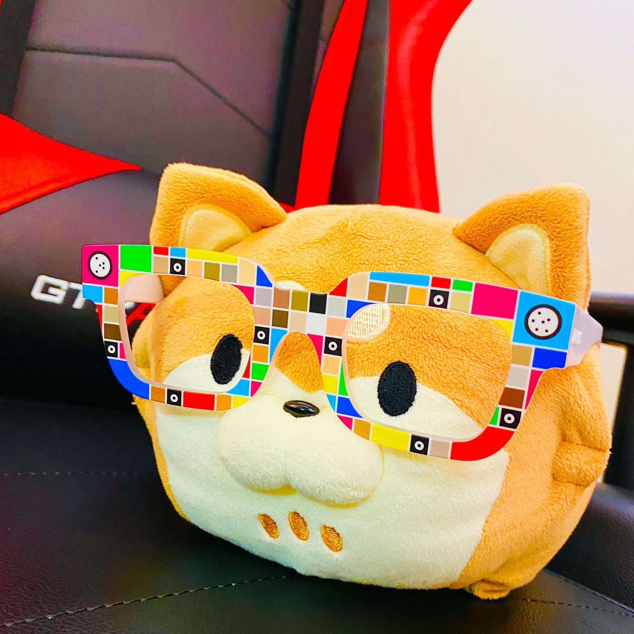 ZOZOGLASS DOG ZOZOGLASS DOG