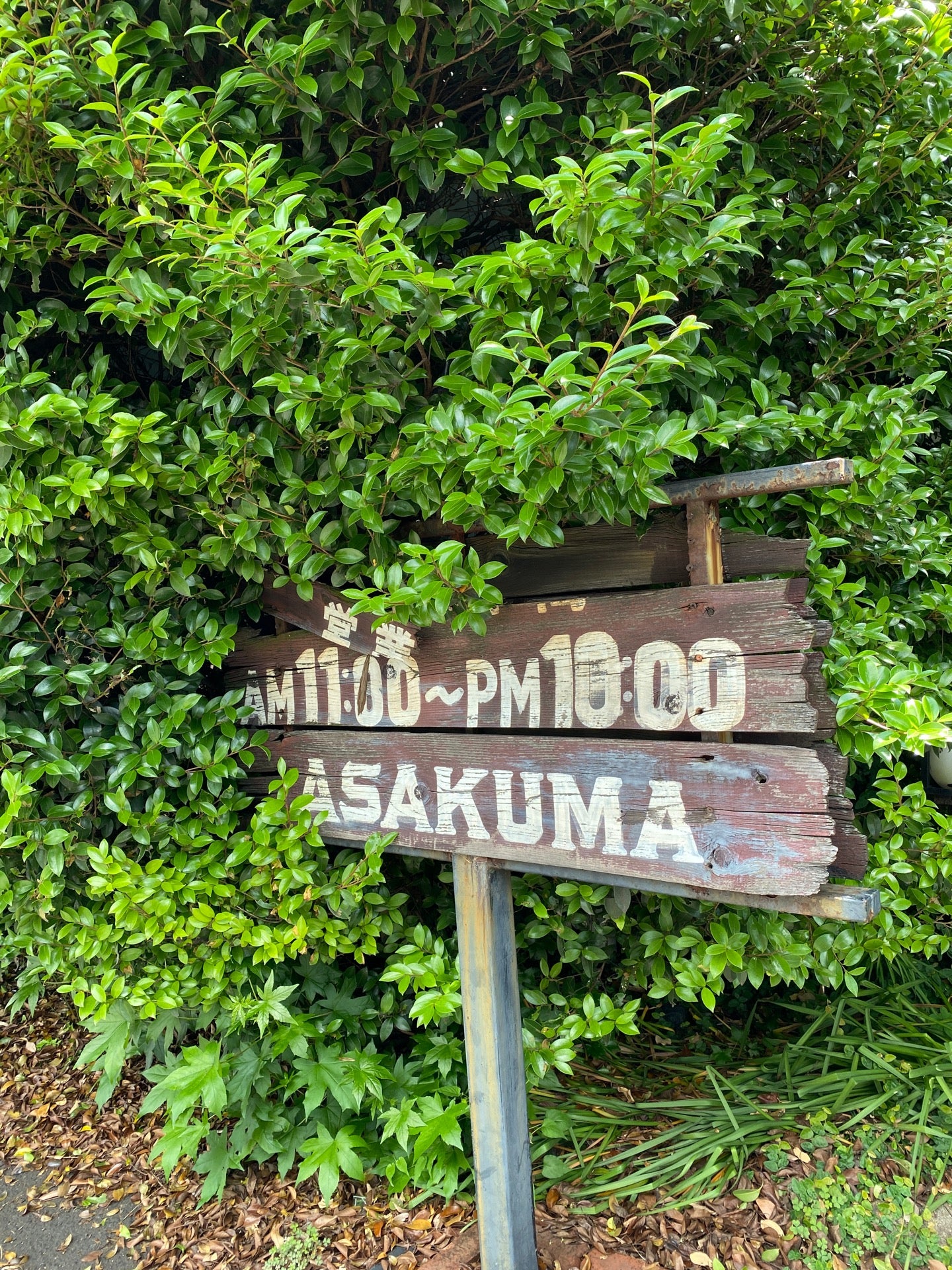 ASAKUMA AM 11:00- (@ ステーキのあさくま 小牧店 in 小牧市, 愛知県) ASAKUMA AM 11:00- (@ ステーキのあさくま 小牧店 in 小牧市, 愛知県)