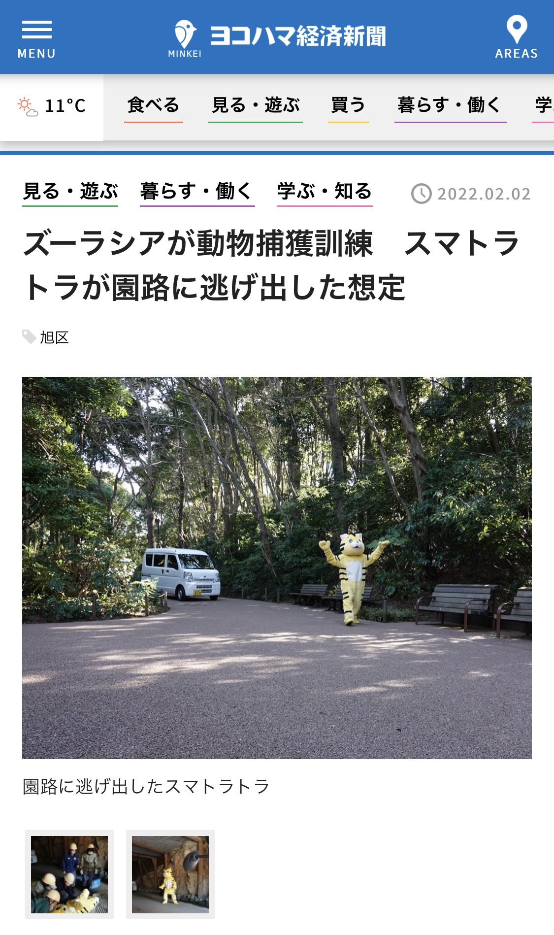 ニンゲンみたいな歩き方してるな( ゚∀゚) 「同園でのスマトラトラの飼育個体は、4頭。名前と性別と年齢は、ガンター=オス15歳、デル=メス15歳、ラウト=メス8歳、ムジュ=メス2歳」 ズーラシアが動物捕獲訓練 スマトラトラが園路に逃げ出した想定 - ヨコハマ経済新聞 ニンゲンみたいな歩き方してるな( ゚∀゚) 「同園でのスマトラトラの飼育個体は、4頭。名前と性別と年齢は、ガンター=オス15歳、デル=メス15歳、ラウト=メス8歳、ムジュ=メス2歳」 ズーラシアが動物捕獲訓練 スマトラトラが園路に逃げ出した想定 - ヨコハマ経済新聞