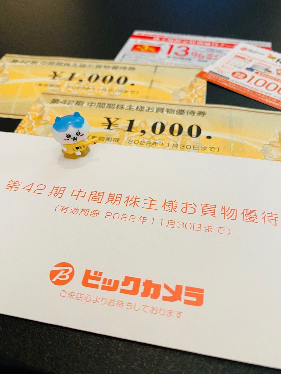 ビックカメラの株主優待券がとどいた(∩´∀`)∩ワーイ ビックカメラの株主優待券がとどいた(∩´∀`)∩ワーイ