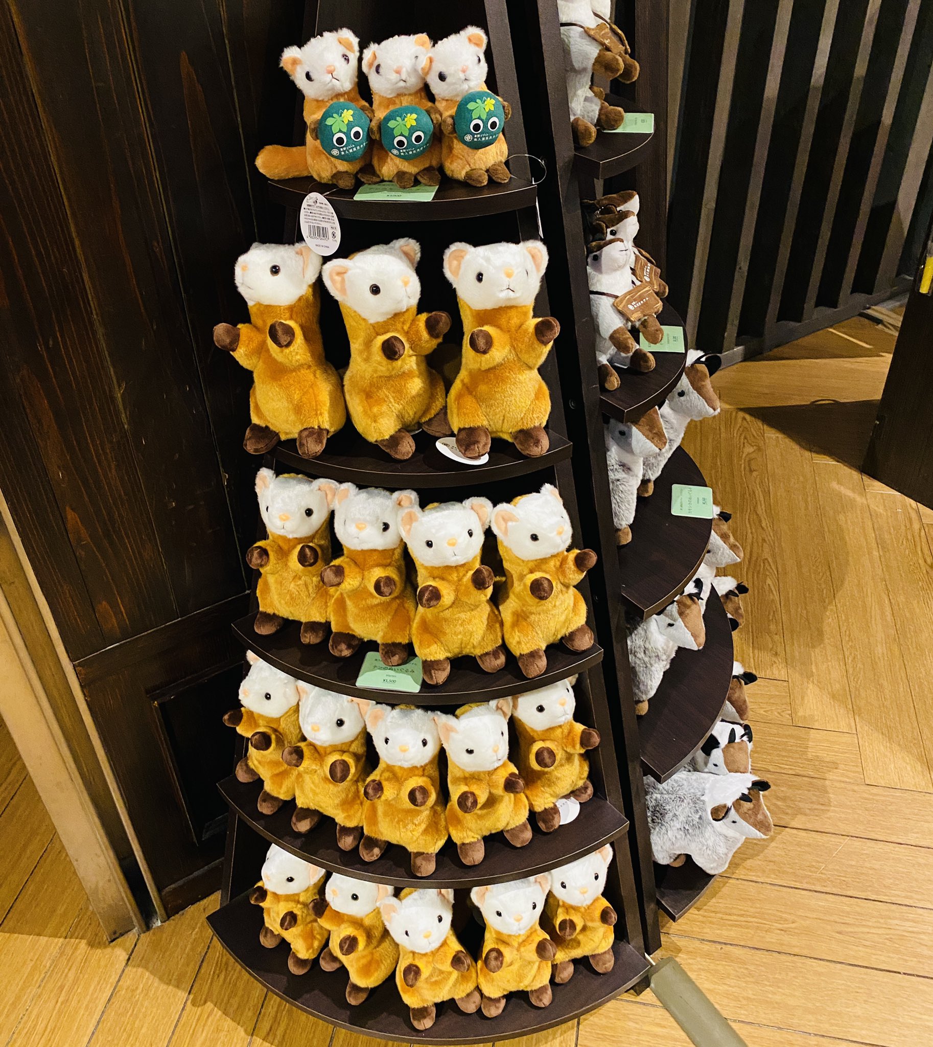 テンのぬいぐるみ テンのぬいぐるみ