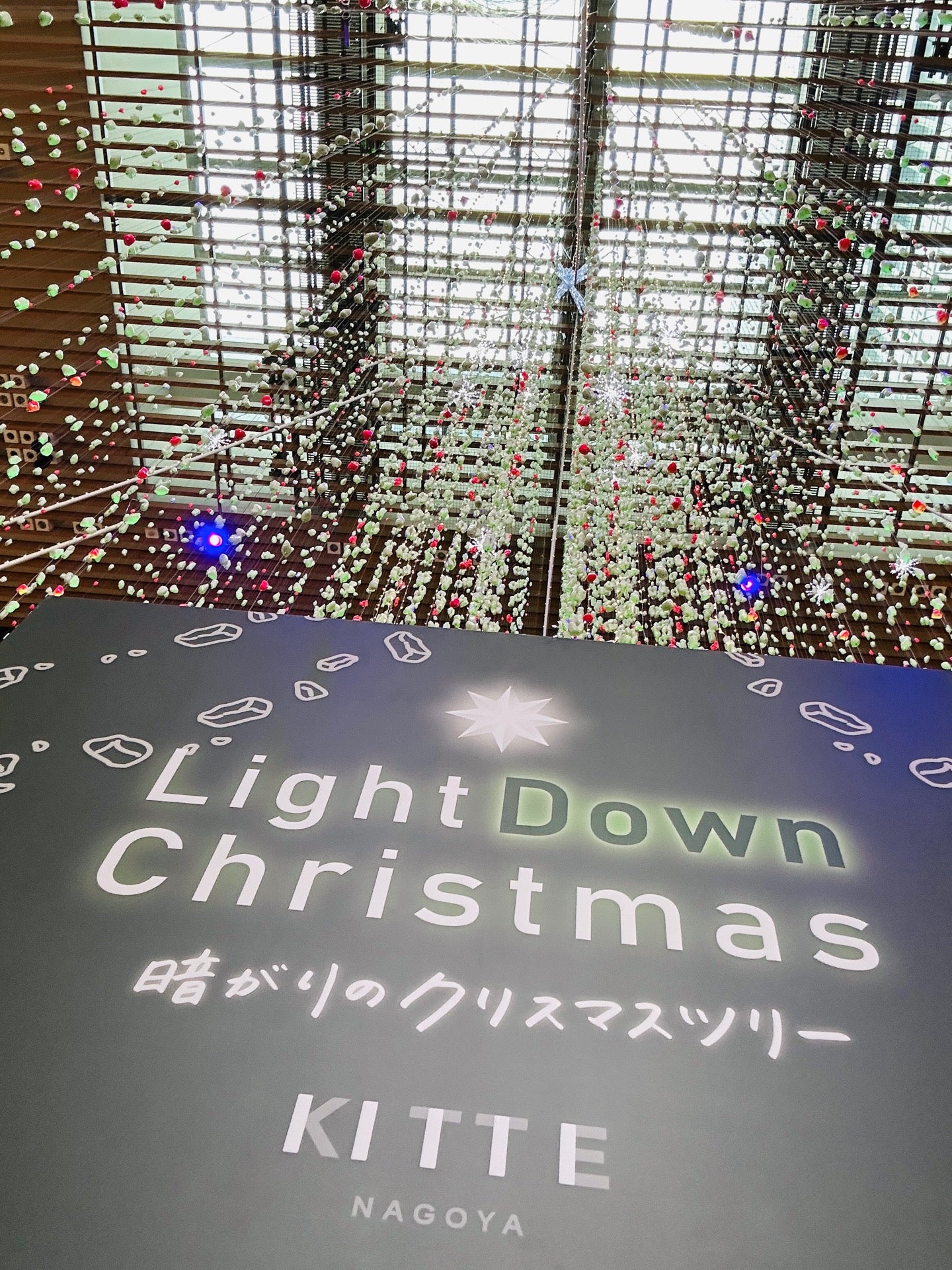 Light Down Christmas 暗がりのクリスマスツリー (@ KITTE名古屋 in 名古屋市, 愛知県) Light Down Christmas 暗がりのクリスマスツリー (@ KITTE名古屋 in 名古屋市, 愛知県)