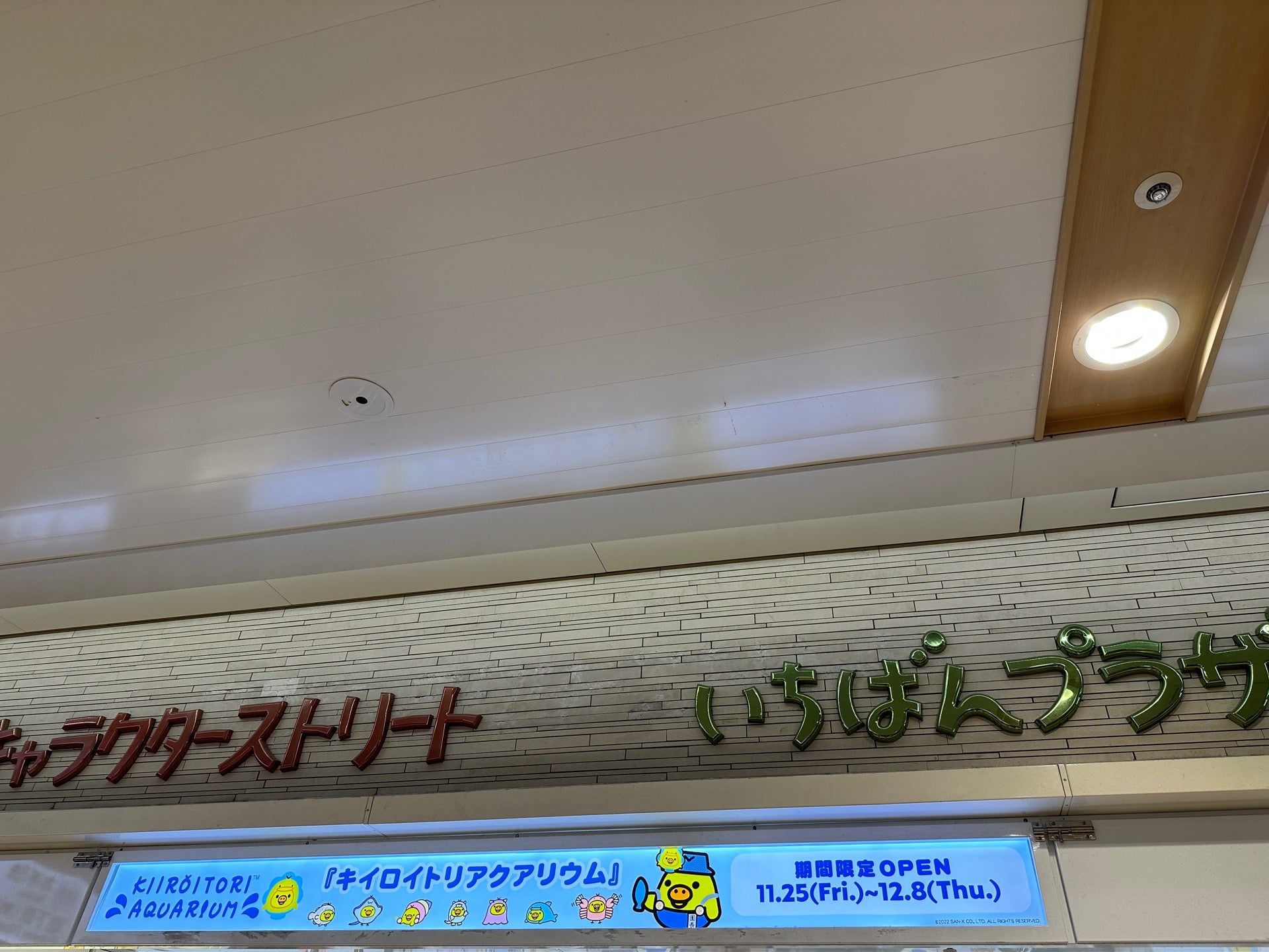 キイロイトリアクアリム (@ いちばんプラザ in 千代田区, 東京都) キイロイトリアクアリム (@ いちばんプラザ in 千代田区, 東京都)