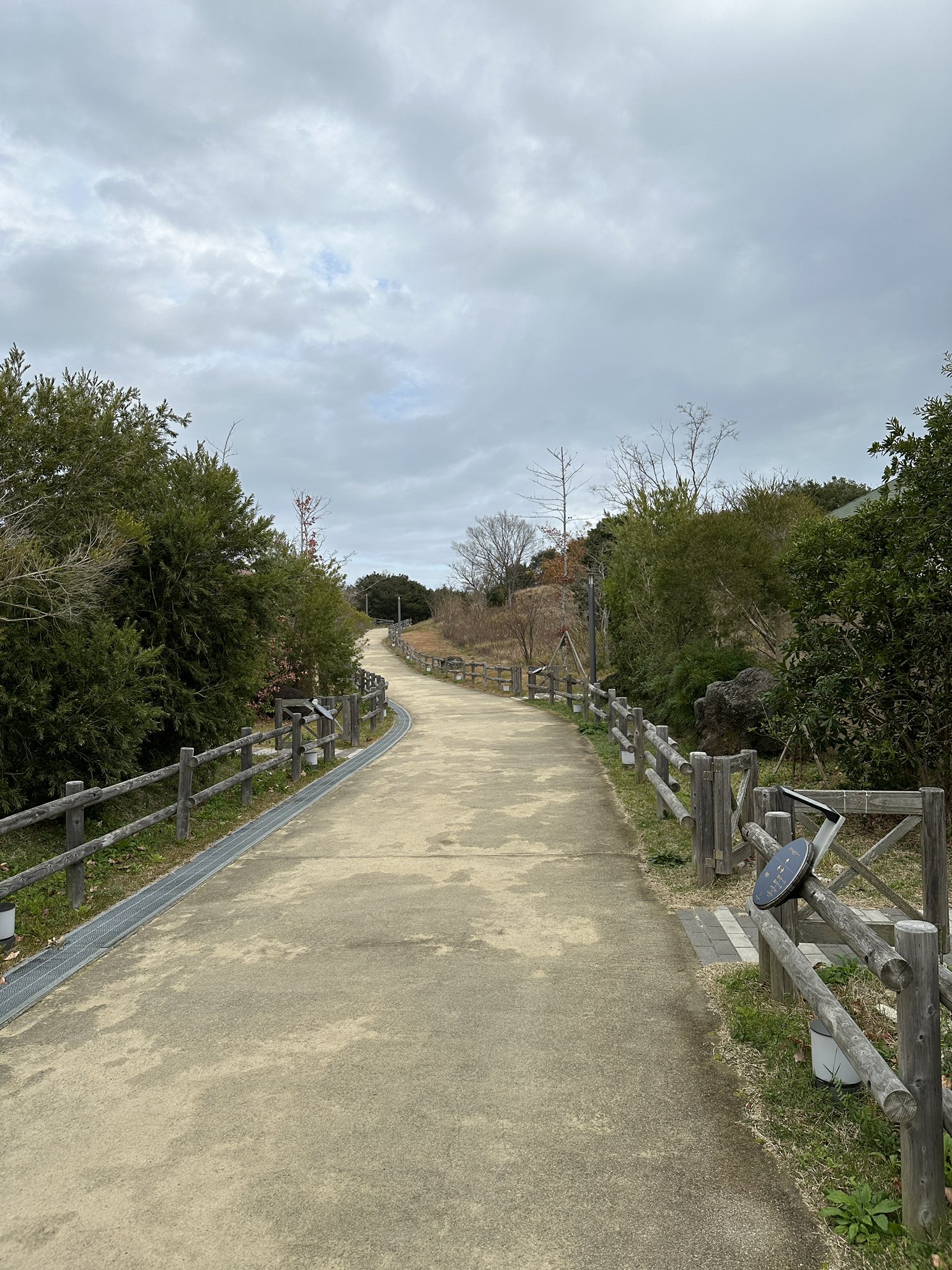雨が降ってきた 雨が降ってきた