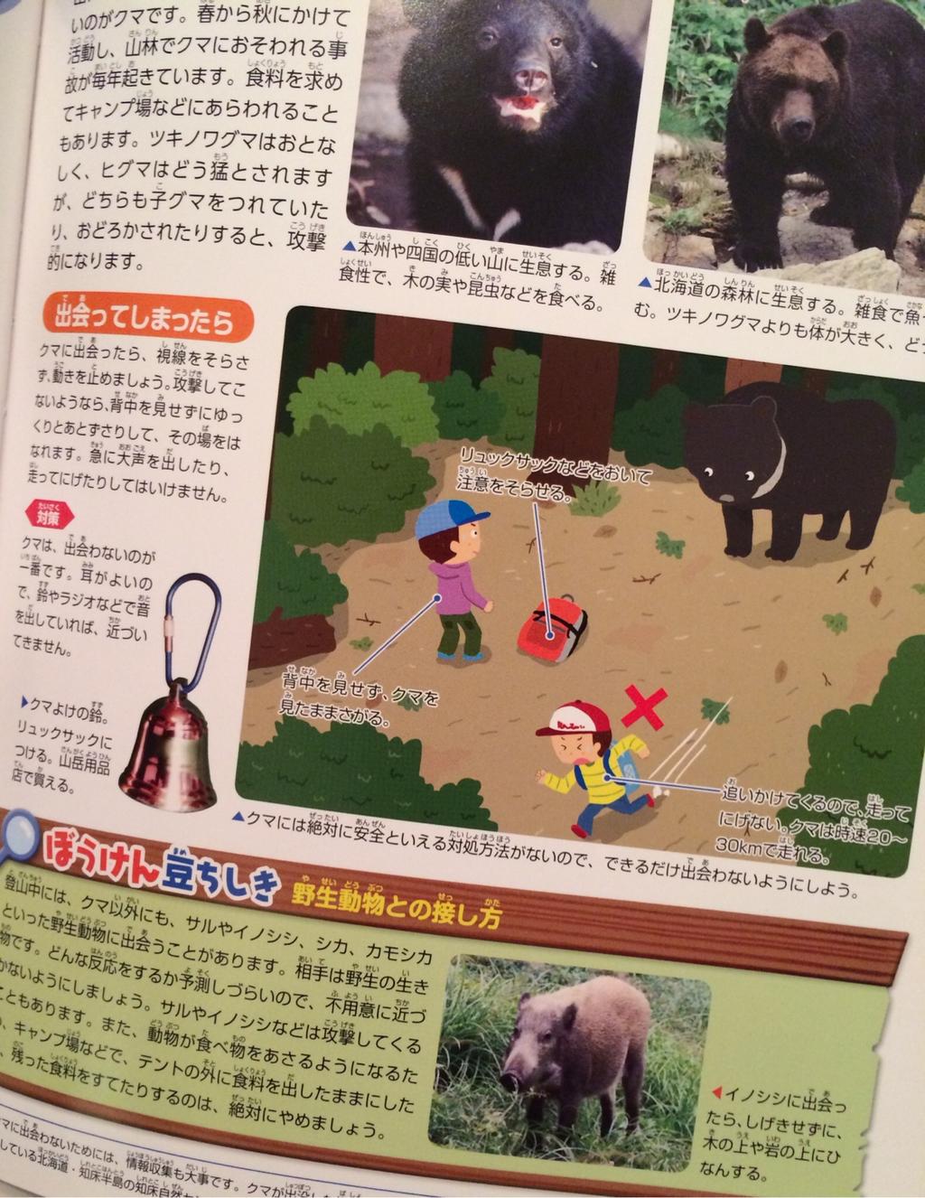 ある日、森の中でクマさんに出会ってしまったら、背中を見せずに後ずさりしてその場を離れる。追いかけてくるので走って逃げない。クマは時速20〜30kmで走れる。 ぼうけん図鑑 / ホールアース自然学校 ある日、森の中でクマさんに出会ってしまったら、背中を見せずに後ずさりしてその場を離れる。追いかけてくるので走って逃げない。クマは時速20〜30kmで走れる。 ぼうけん図鑑 / ホールアース自然学校