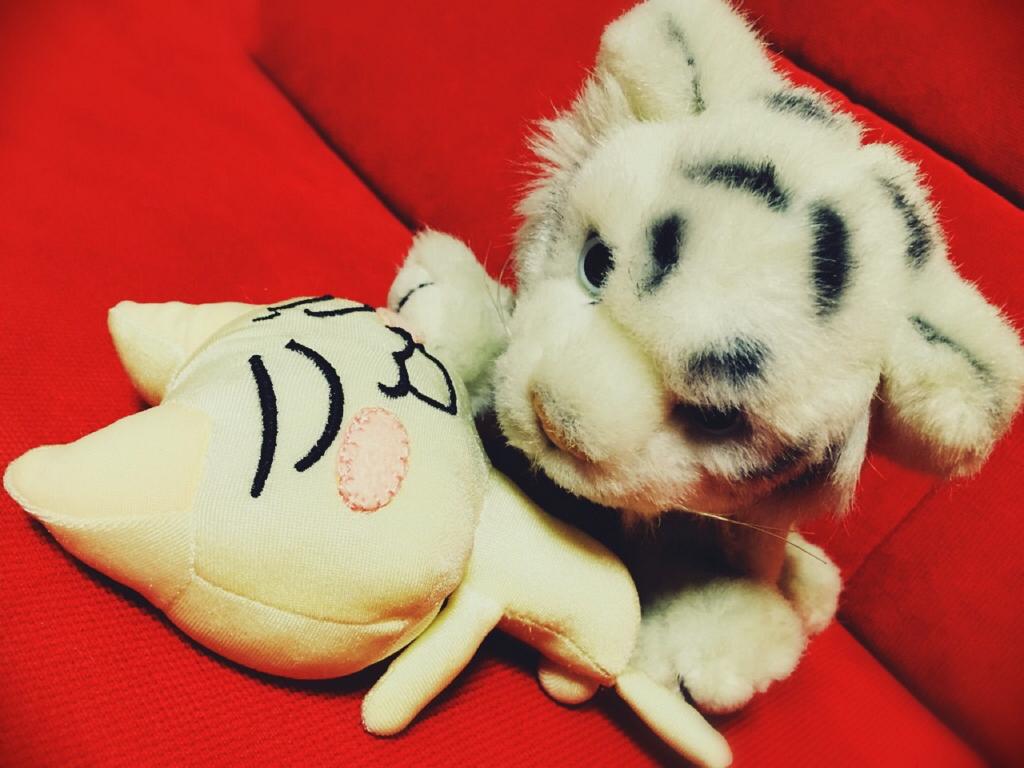 まだ食べてません (「・ω・)「ガオー #10月6日はトロの日ですニャ まだ食べてません (「・ω・)「ガオー #10月6日はトロの日ですニャ