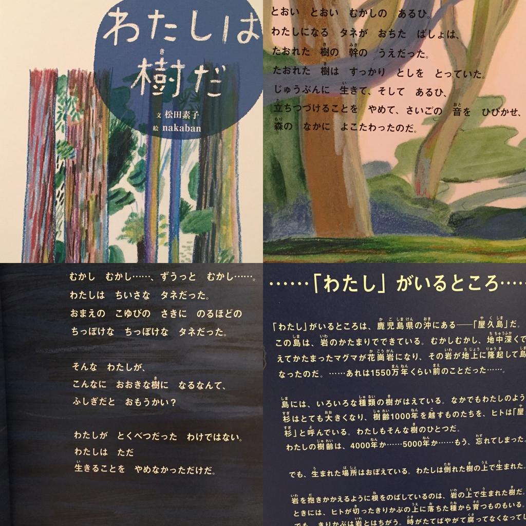 わたしは樹だ 文 松田素子 絵 nakaban 屋久島の屋久杉、縄文杉。 わたしは樹だ 文 松田素子 絵 nakaban 屋久島の屋久杉、縄文杉。