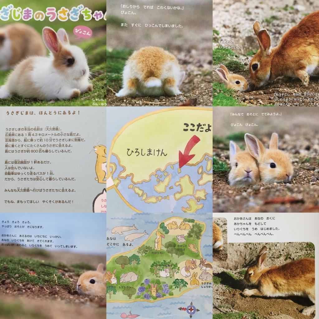 うさぎじまのうさぎちゃん。兎の赤ちゃん写真な絵本。 ・赤ちゃんうさぎの冒険物語は本当のお話 ・広島県大久野島(無人島) ・うさぎじまの地図を掲載 文 ゆうき えつこ 写真 福田 幸広 うさぎじまのうさぎちゃん。兎の赤ちゃん写真な絵本。 ・赤ちゃんうさぎの冒険物語は本当のお話 ・広島県大久野島(無人島) ・うさぎじまの地図を掲載 文 ゆうき えつこ 写真 福田 幸広