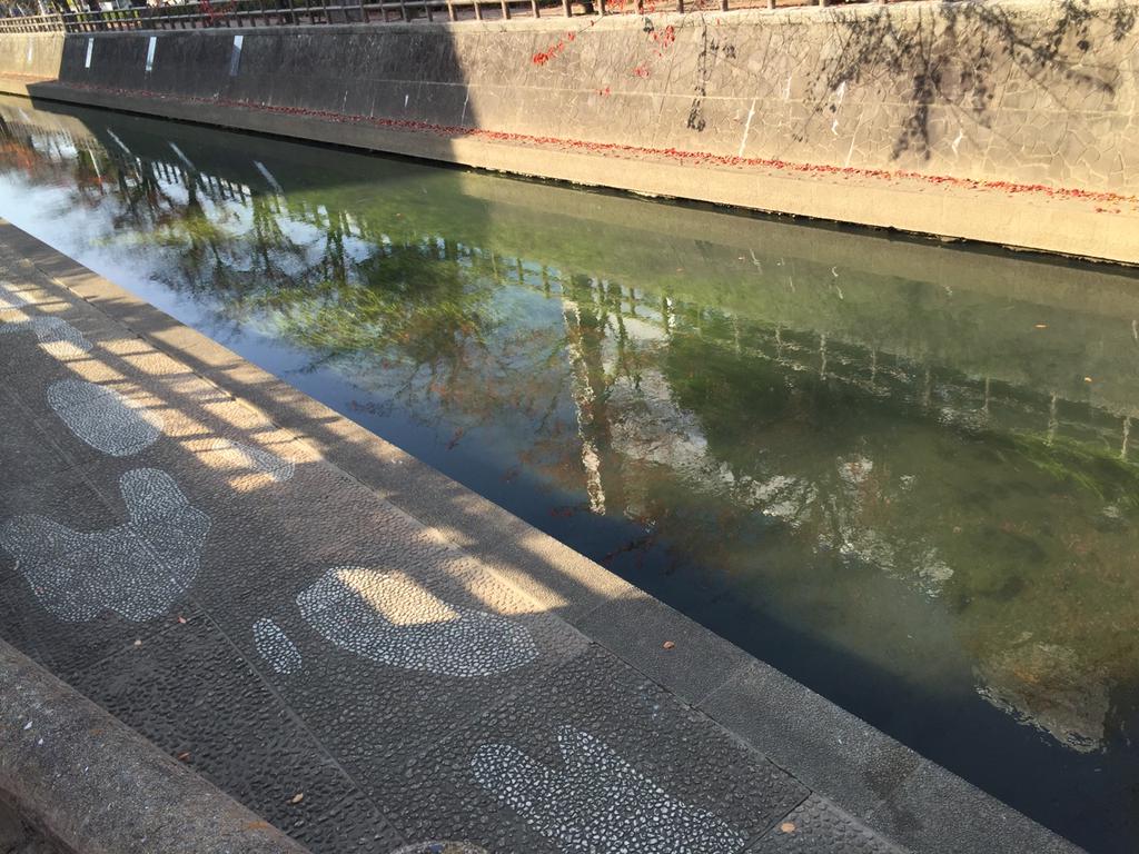 水草が見えるくらいに川が綺麗。 水草が見えるくらいに川が綺麗。