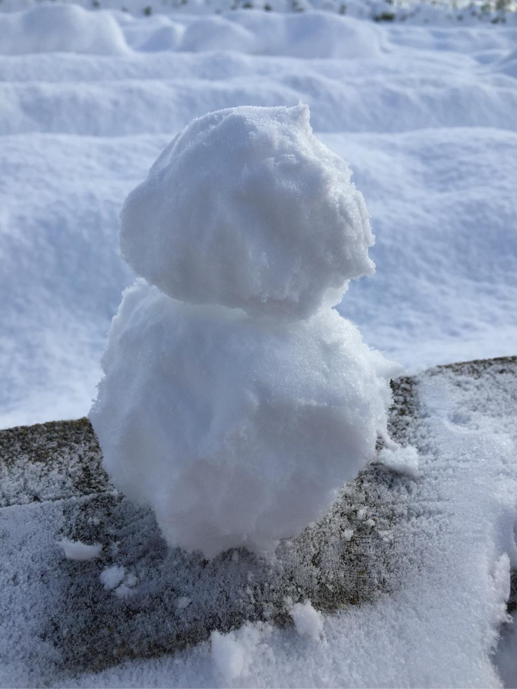 ちいさいけど雪だるま。 ちいさいけど雪だるま。