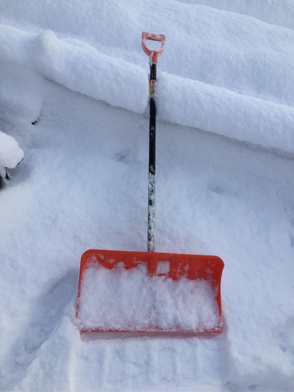 今朝の雪かきアイテム、雪ばなれ快適。 今朝の雪かきアイテム、雪ばなれ快適。