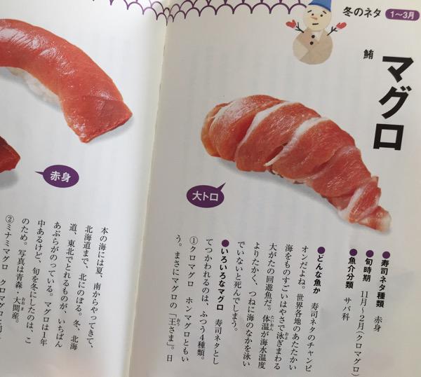 ネタ図鑑。マグロ。 パパ、お寿司たべたい! 親子で学ぶネタ図鑑 ネタ図鑑。マグロ。 パパ、お寿司たべたい! 親子で学ぶネタ図鑑