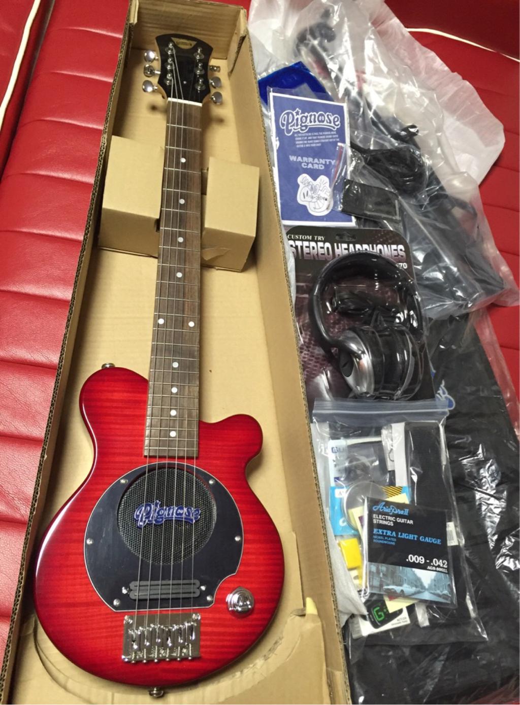 ヅ] ミニギター Pignose PGG-200FM SR を購入 (2015-02-25)