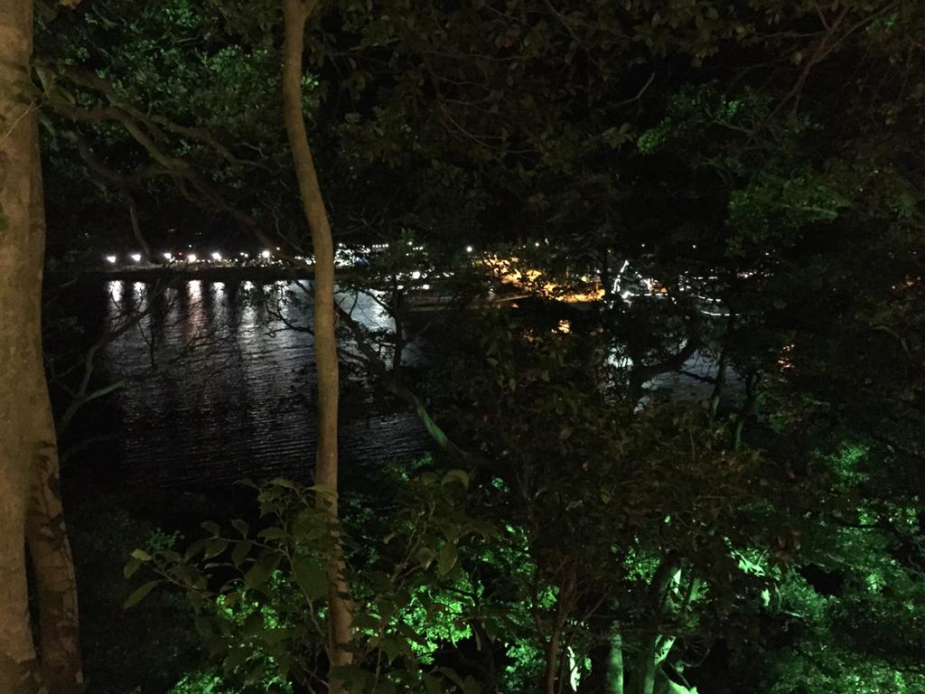 夜の景色 夜の景色