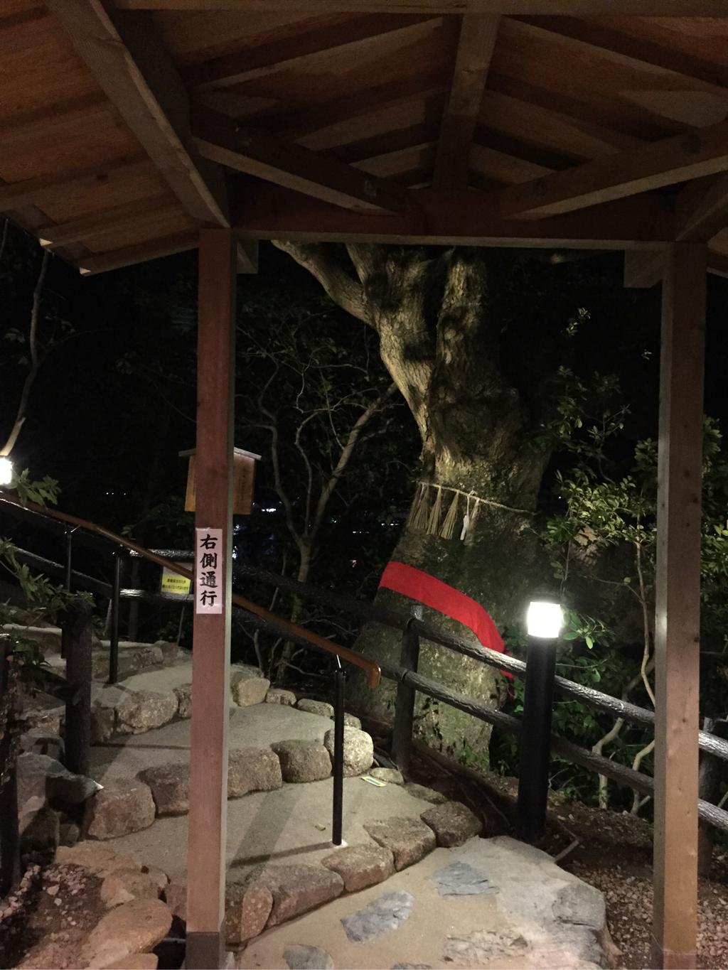 温泉村 温泉村