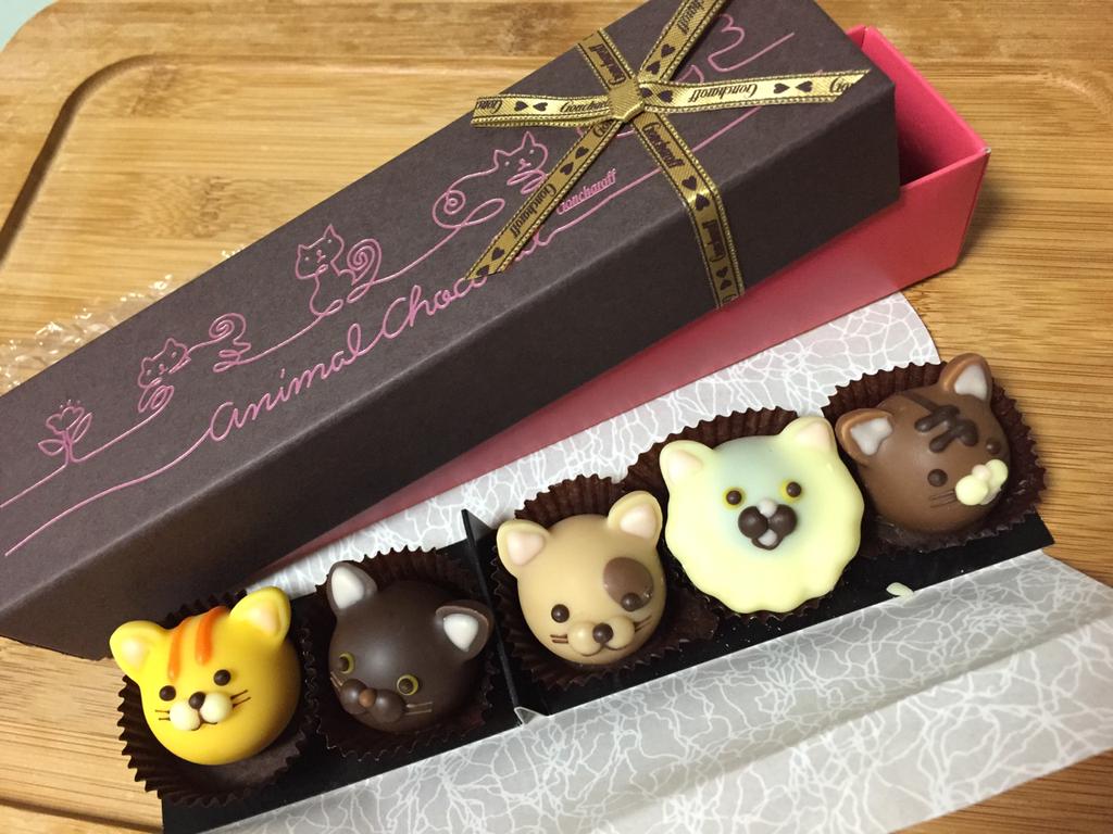 ゴンチャロフ アニマルショコラ キャッツB ネコ5匹入り( ・∀・) チョコレート ゴンチャロフ アニマルショコラ キャッツB ネコ5匹入り( ・∀・) チョコレート