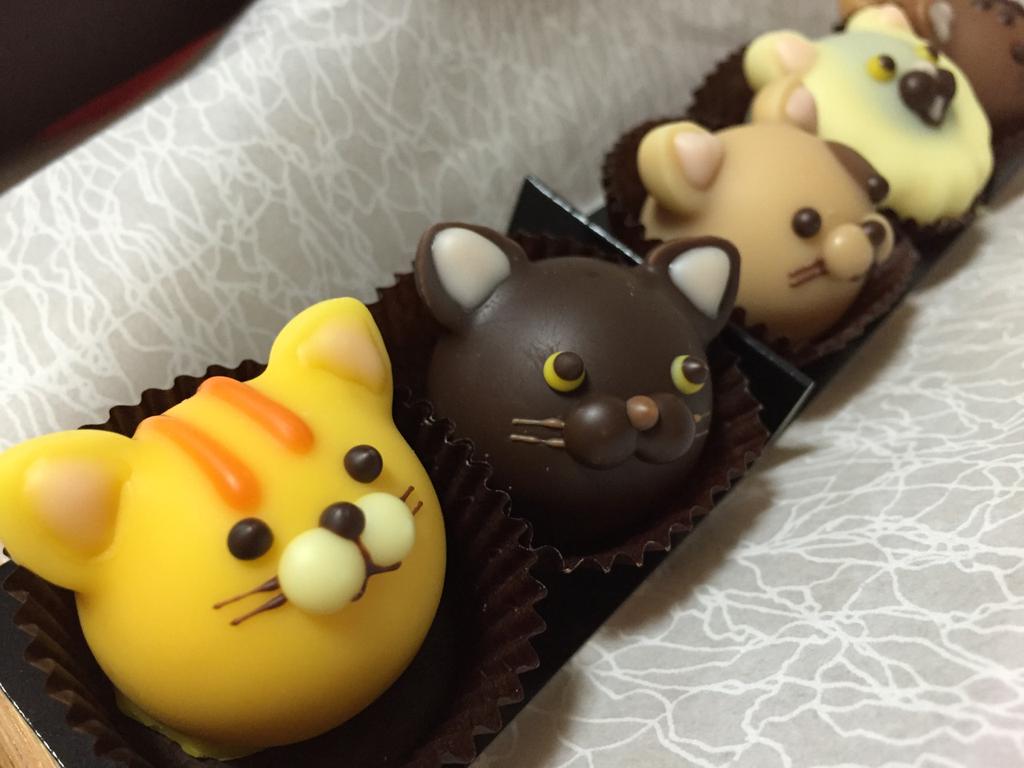 ゴンチャロフ アニマルショコラ キャッツB 黄色いにゃんこがマンゴー (食べた) ゴンチャロフ アニマルショコラ キャッツB 黄色いにゃんこがマンゴー (食べた)