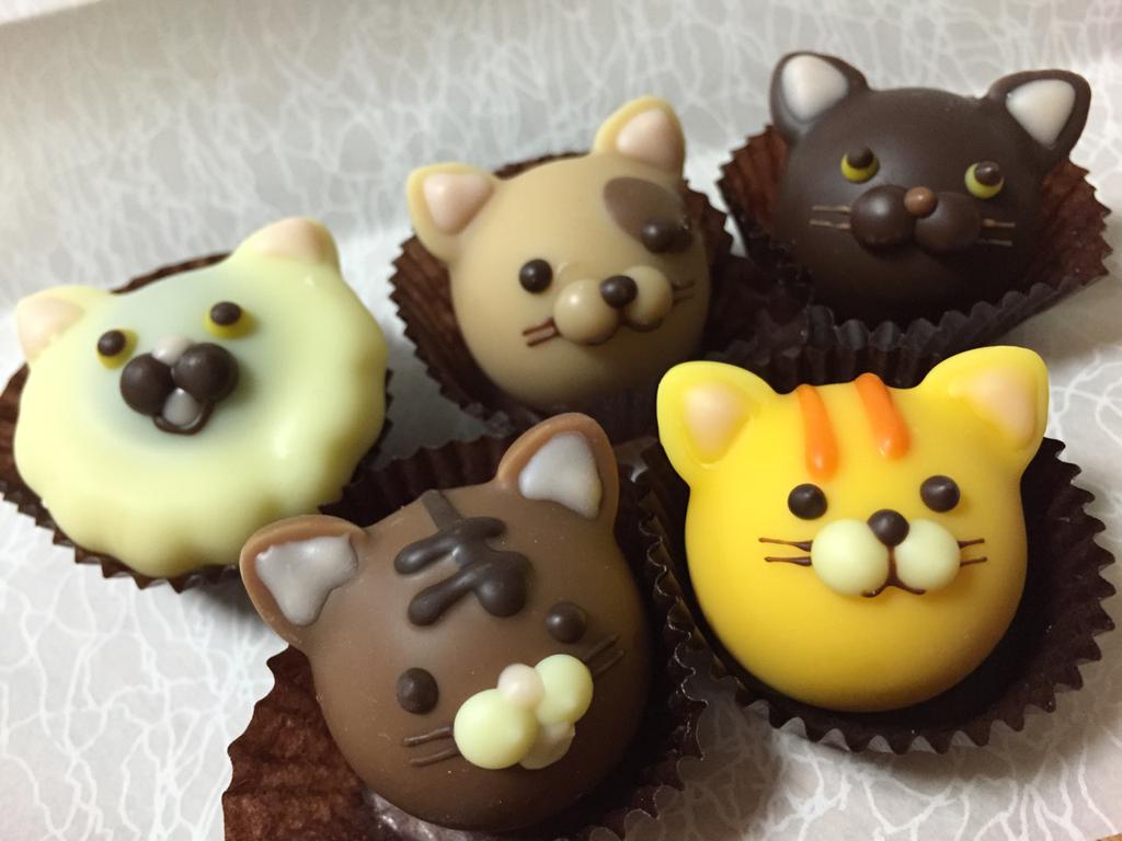 ゴンチャロフ アニマルショコラ キャッツB ゴンチャロフ アニマルショコラ キャッツB