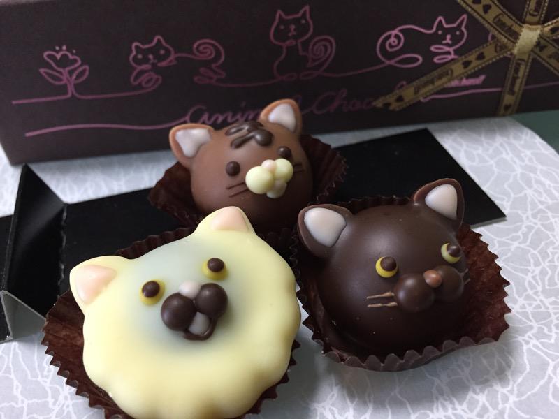 ゴンチャロフ アニマルショコラ キャッツB 残り3匹たべちゃう(=^・・^=) ゴンチャロフ アニマルショコラ キャッツB 残り3匹たべちゃう(=^・・^=)