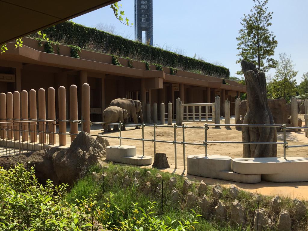 東山動植物園の新アジアゾウ舎「ゾージアム」