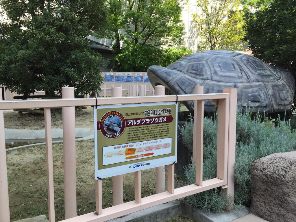 絶滅危惧種アルダブラゾウガメ展示場所に甲羅を回して遊ぶ子ども向け遊具あり。 絶滅危惧種アルダブラゾウガメ展示場所に甲羅を回して遊ぶ子ども向け遊具あり。