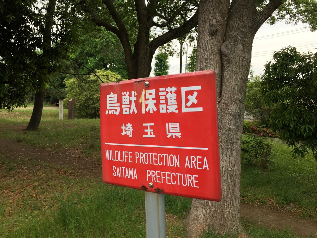 鳥獣保護区。 (@ 大宮第二公園 in さいたま市大宮区, 埼玉県) 鳥獣保護区。 (@ 大宮第二公園 in さいたま市大宮区, 埼玉県)