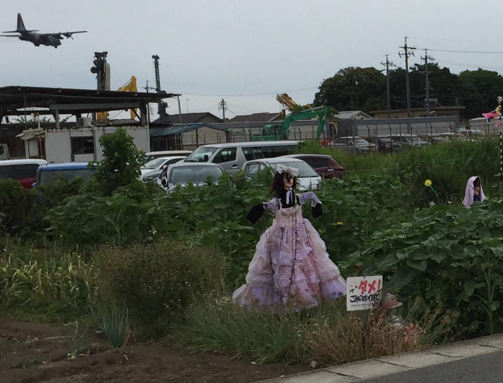 あいかわらずここのカカシは怖い((((;゚Д゚)))) 航空自衛隊の飛行機よく飛んでくる。 (@ セブンイレブン 小牧下小針天神1丁目店 in 小牧市, 愛知県) あいかわらずここのカカシは怖い((((;゚Д゚)))) 航空自衛隊の飛行機よく飛んでくる。 (@ セブンイレブン 小牧下小針天神1丁目店 in 小牧市, 愛知県)