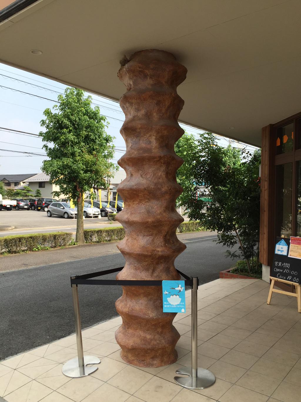 Nest of barn Swallow at Pillar of Baumkuchen shop