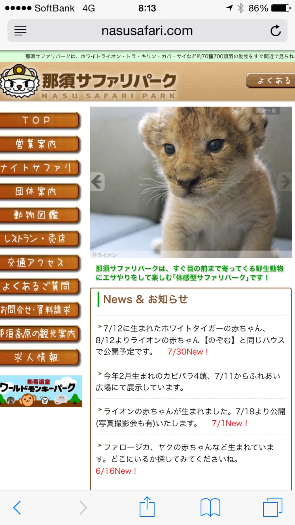 仔ライオンかわいい(ノ´∀`*) 那須サファリパーク 仔ライオンかわいい(ノ´∀`*) 那須サファリパーク