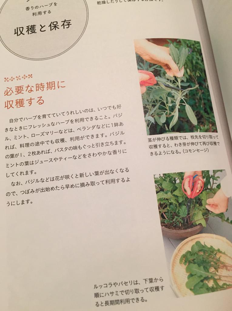 ハーブの収穫と保存方法など。バジルは花が咲くと新しい葉が出なくなるので、つぼみが出始めたら早めに摘み取るとか。 育てて楽しむ小さなハーブたち: 松井 孝: 本 ハーブの収穫と保存方法など。バジルは花が咲くと新しい葉が出なくなるので、つぼみが出始めたら早めに摘み取るとか。 育てて楽しむ小さなハーブたち: 松井 孝: 本
