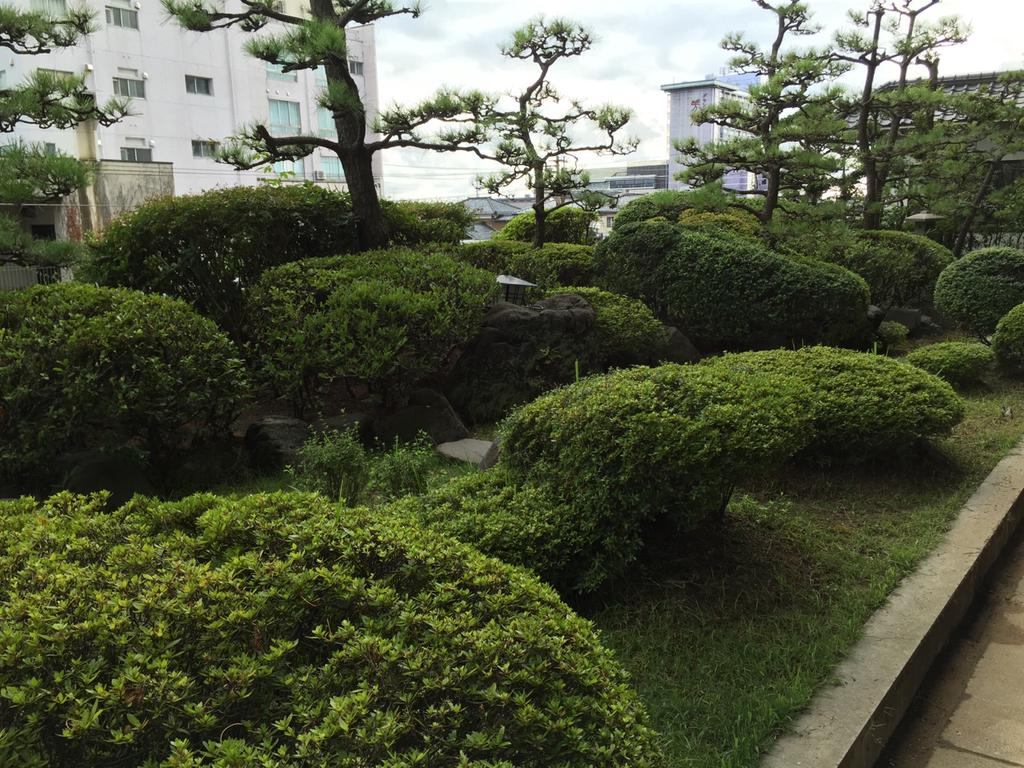 庭 庭
