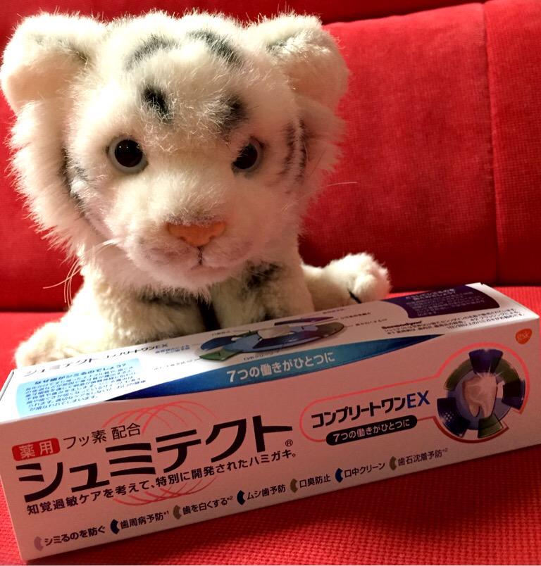 薬用シュミテクト コンプリートワンEX (Sensodyne) 「シュミテクトは世界90ヶ国で、センソダインの名称で販売されています」 薬用シュミテクト コンプリートワンEX 90g 薬用シュミテクト コンプリートワンEX (Sensodyne) 「シュミテクトは世界90ヶ国で、センソダインの名称で販売されています」 薬用シュミテクト コンプリートワンEX 90g