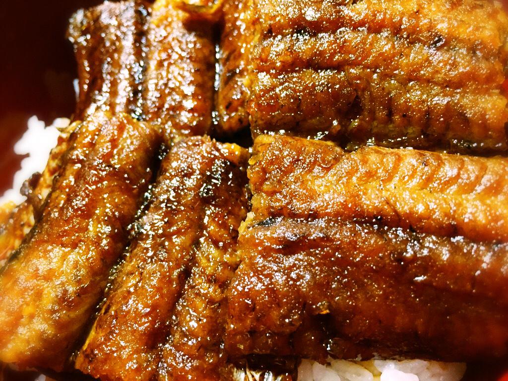 鰻 鰻
