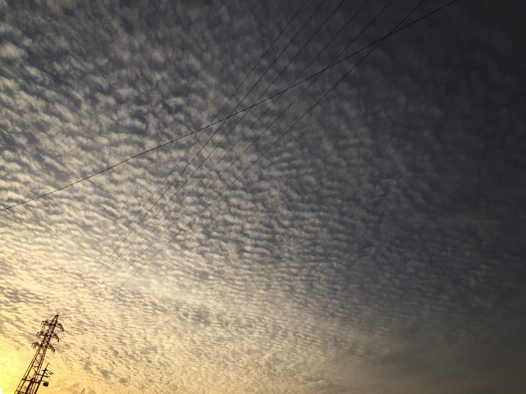 鱗雲 鱗雲