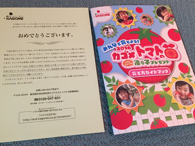 みんなで育てよう! 2016 カゴメトマトの苗 トマトジュース用 凛々子プレゼント 育て方ガイドブック みんなで育てよう! 2016 カゴメトマトの苗 トマトジュース用 凛々子プレゼント 育て方ガイドブック