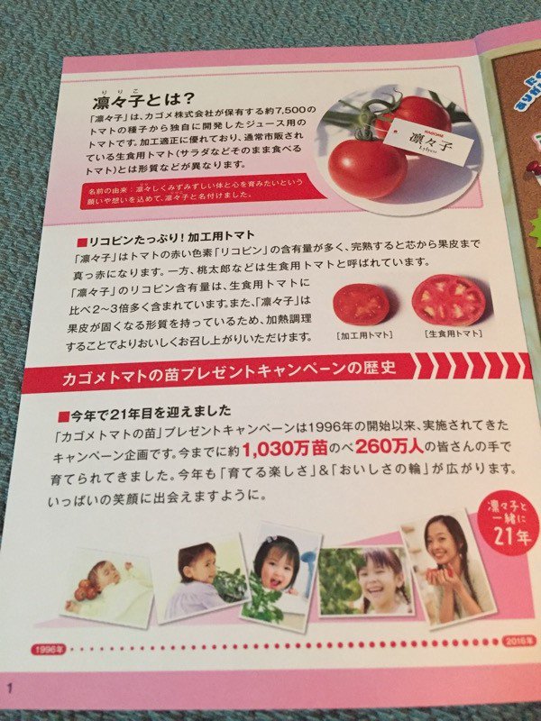 凛々子は加工用トマト。リコピンが多い。皮が固い(生で食べるのではなく加熱したほうがいい)。 凛々子は加工用トマト。リコピンが多い。皮が固い(生で食べるのではなく加熱したほうがいい)。