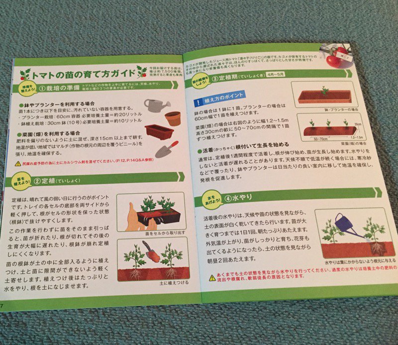 トマトの苗の育て方ガイド。 「定植は、晴れて風の弱い日に行うのがポイントです」 大雨が来そうで風の強いときに植えてしまったよぅ(∩´∀`)∩ トマトの苗の育て方ガイド。 「定植は、晴れて風の弱い日に行うのがポイントです」 大雨が来そうで風の強いときに植えてしまったよぅ(∩´∀`)∩