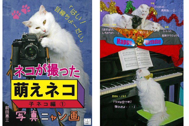 子猫写真(ΦωΦ) ネコが撮った『萌えネコ』写真ニャン画:子ネコ編 ①: はい!目線ちょーだい (22ART PUBLISHING) 電子書籍: 前田 惠三: Kindleストア 子猫写真(ΦωΦ) ネコが撮った『萌えネコ』写真ニャン画:子ネコ編 ①: はい!目線ちょーだい (22ART PUBLISHING) 電子書籍: 前田 惠三: Kindleストア