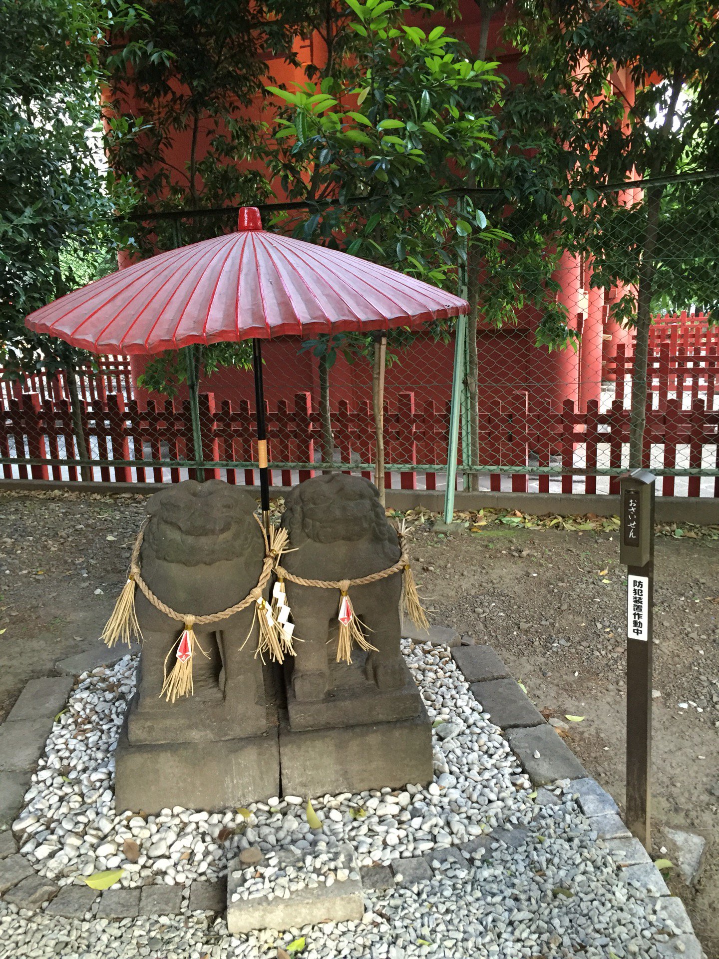夫婦狛犬。 (@ 浅草神社 in 台東区, 東京都) 夫婦狛犬。 (@ 浅草神社 in 台東区, 東京都)