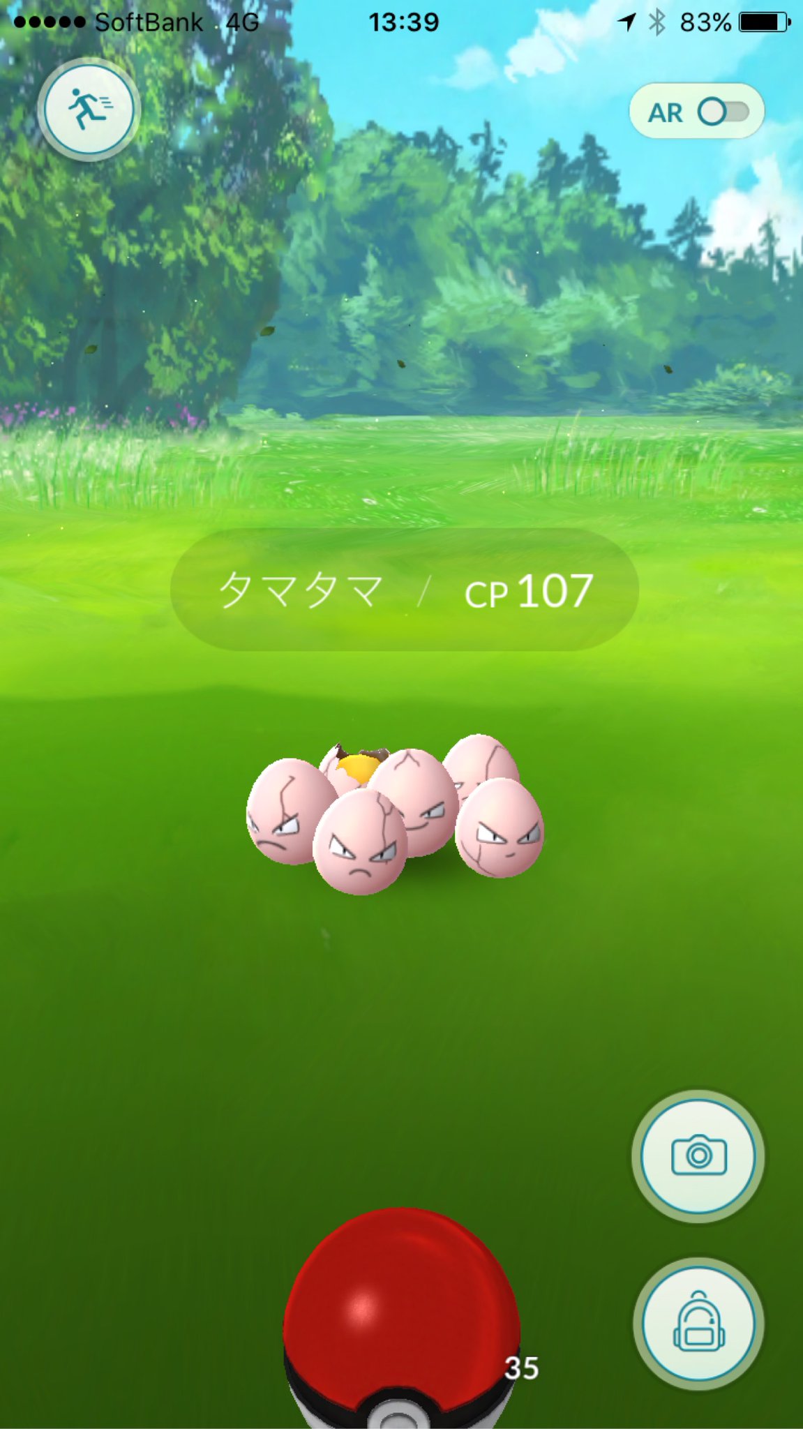 野生のタマタマ? Pokemon GO 野生のタマタマ? Pokemon GO