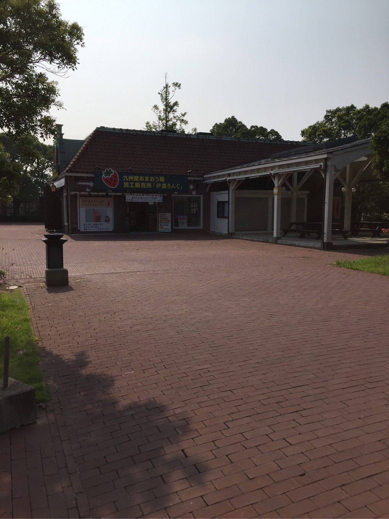 九州あまおう苺 加工販売所 移都きんぐ 九州あまおう苺 加工販売所 移都きんぐ