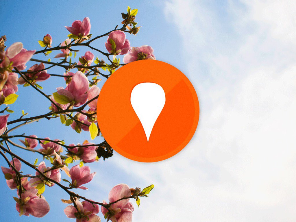 Todositのタスク管理スコア「カルマ」500ポイント達成!新米にレベルアップ!Todoistブログでタスク管理を勉強しよう! Todositのタスク管理スコア「カルマ」500ポイント達成!新米にレベルアップ!Todoistブログでタスク管理を勉強しよう!