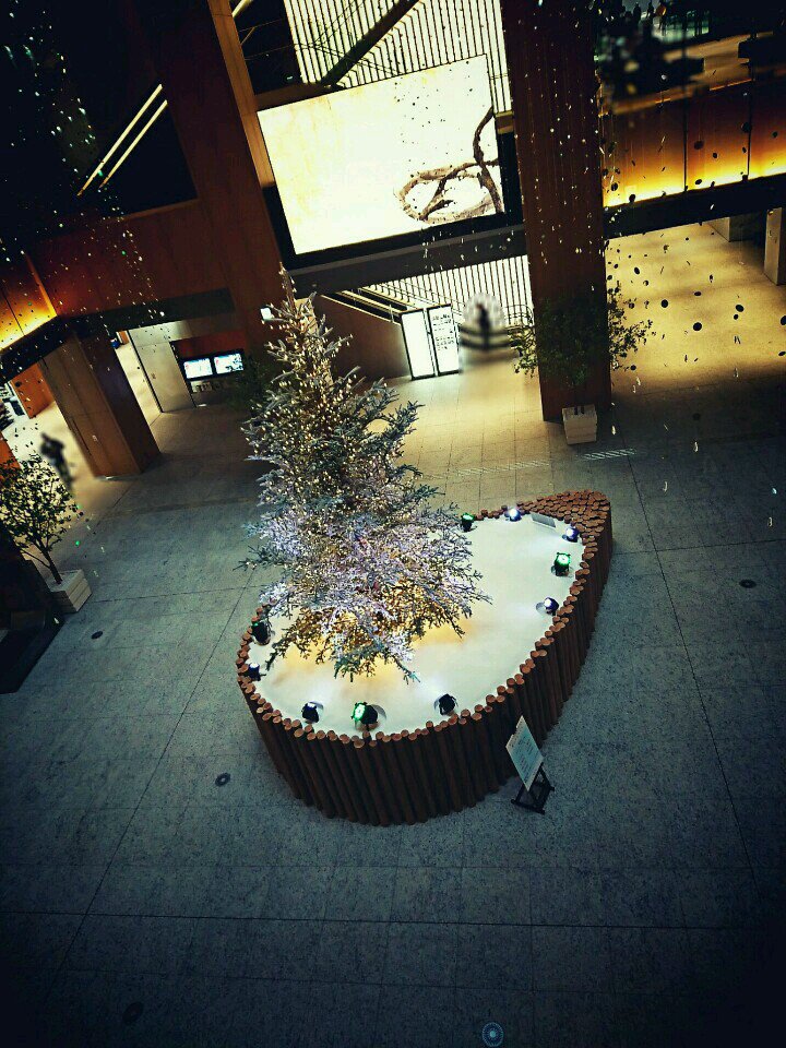 クリスマスツリー。 (@ JPタワー名古屋 in Nagoya-shi, 愛知県) クリスマスツリー。 (@ JPタワー名古屋 in Nagoya-shi, 愛知県)
