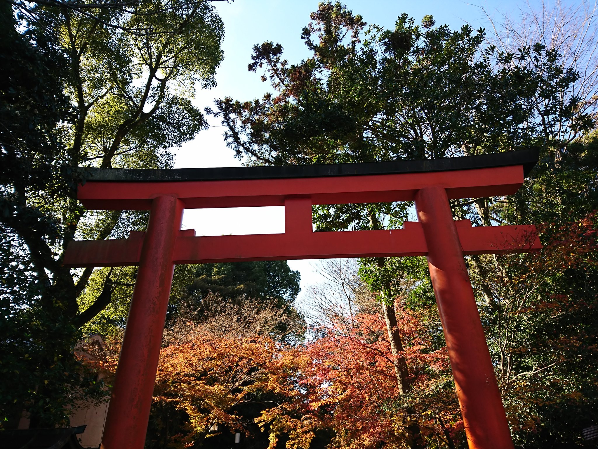 鳥居 鳥居