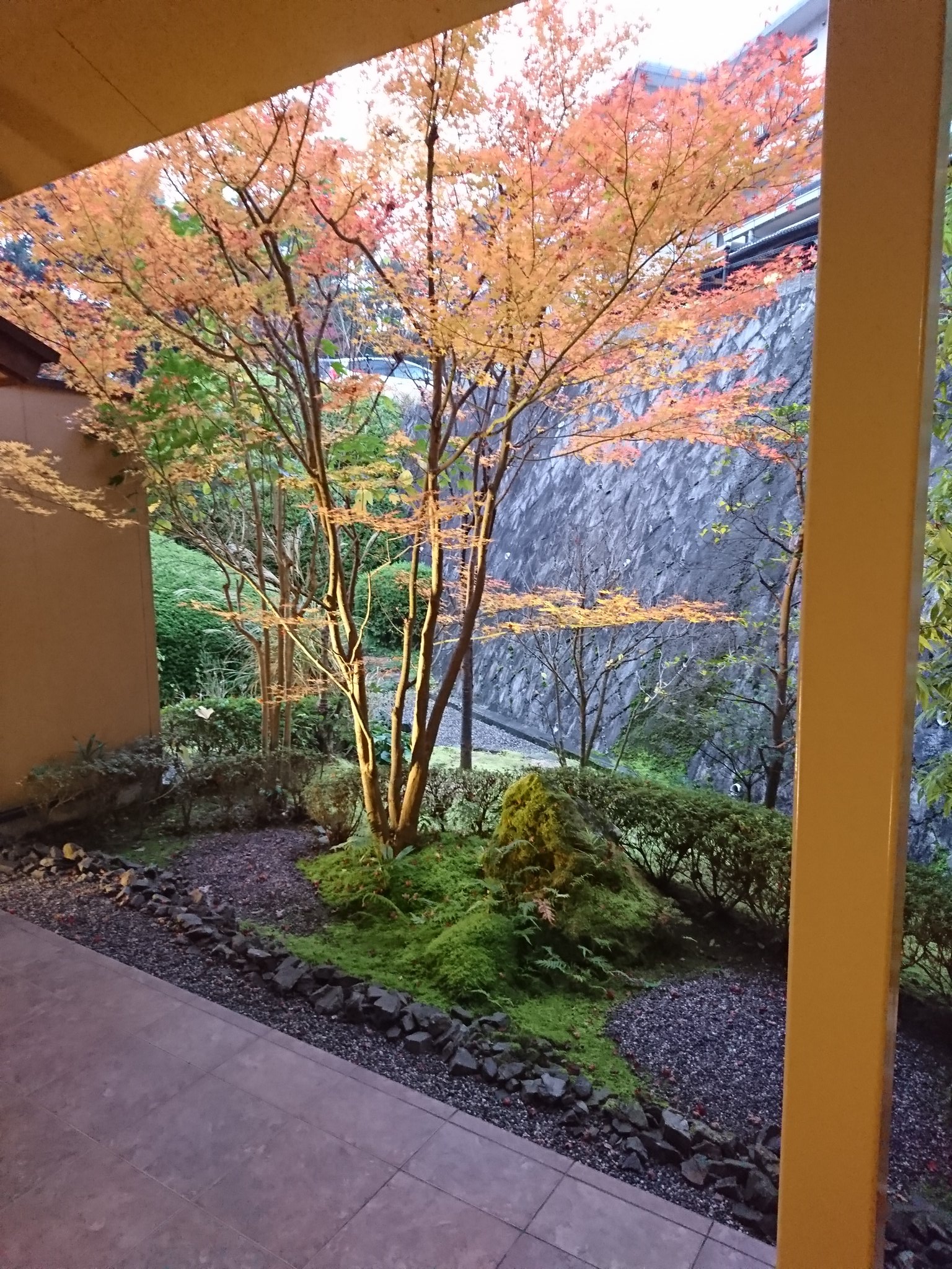 もう一度、湯元館 湯幻逍遥へ。明るくなってきた。 もう一度、湯元館 湯幻逍遥へ。明るくなってきた。