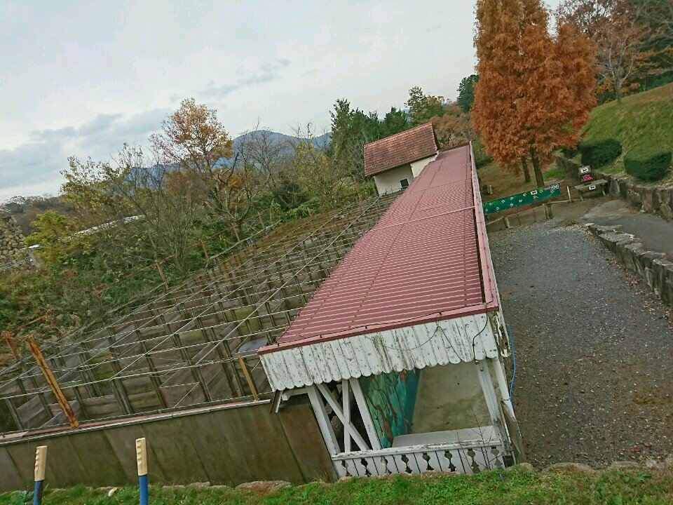 巨大迷路。 (@ 滋賀農業公園 ブルーメの丘 in 蒲生郡日野町, 滋賀県) 巨大迷路。 (@ 滋賀農業公園 ブルーメの丘 in 蒲生郡日野町, 滋賀県)