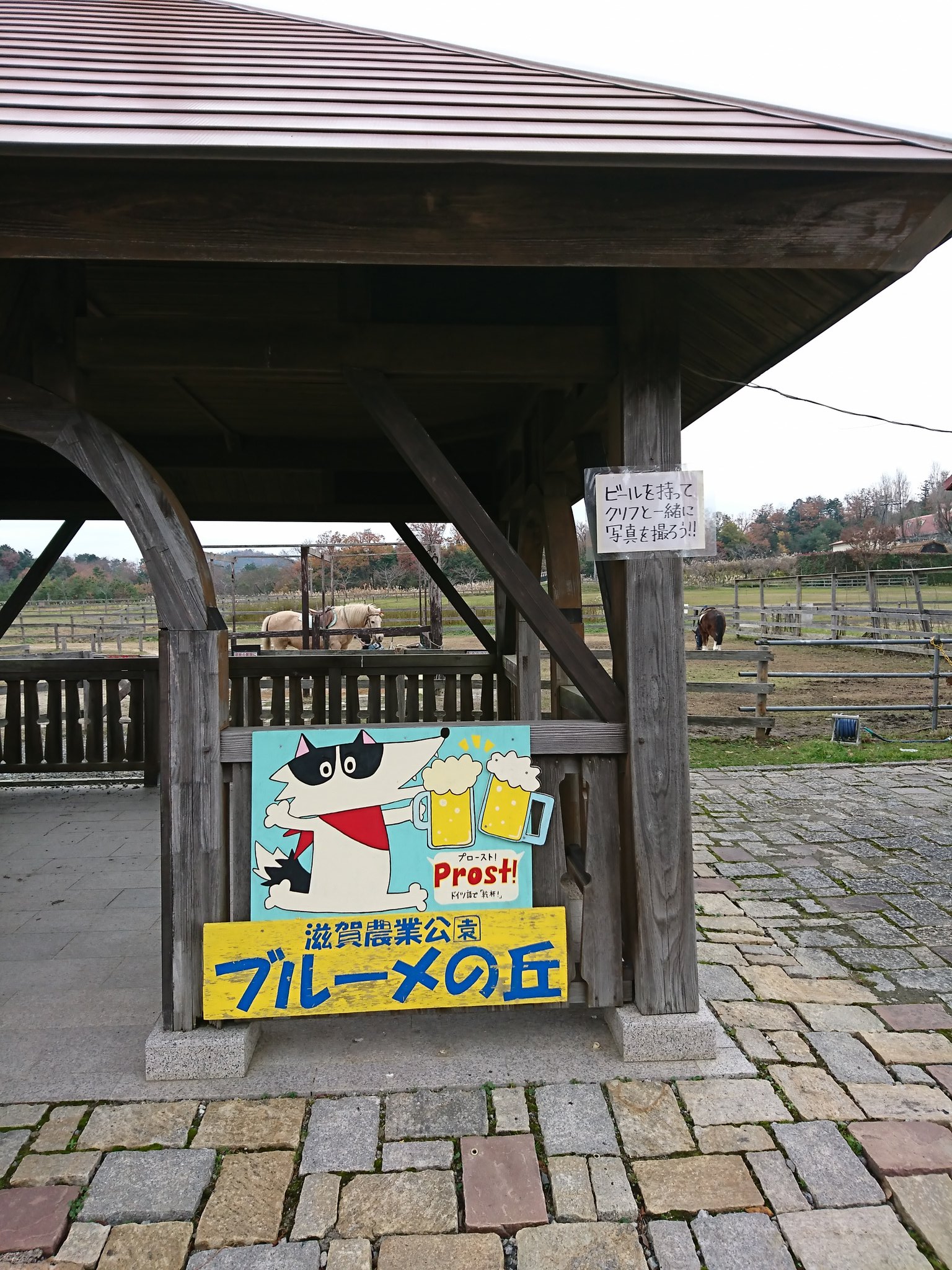 馬乗り500円。ポニー乗りは300円。 馬乗り500円。ポニー乗りは300円。